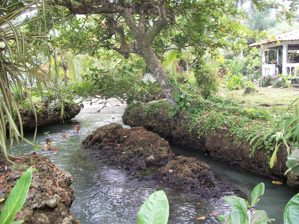Piscina Natural On The Sea Cahuita Exterior foto