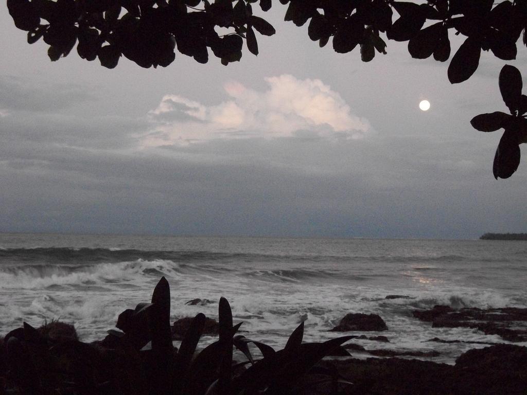 Piscina Natural On The Sea Cahuita Exterior foto