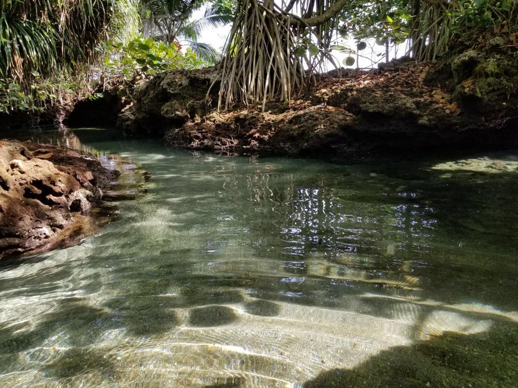 Piscina Natural On The Sea Cahuita Exterior foto